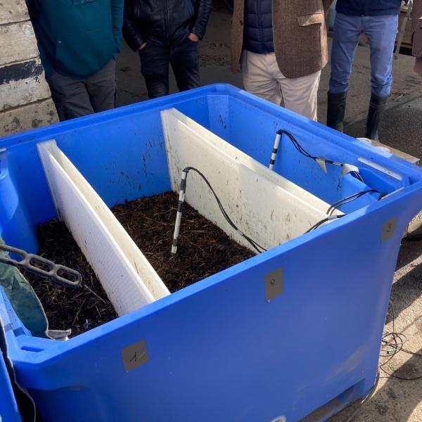 Overgangsprojecten naar duurzame landbouw en voedselsystemen