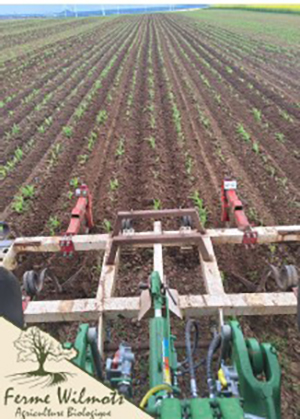 Lauréat « CERES - Agricultures en transition » 2026, La Ferme Wilmots