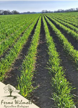 Lauréat « CERES - Agricultures en transition » 2026, La Ferme Wilmots