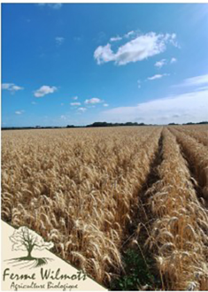 Lauréat « CERES - Agricultures en transition » 2026, La Ferme Wilmots
