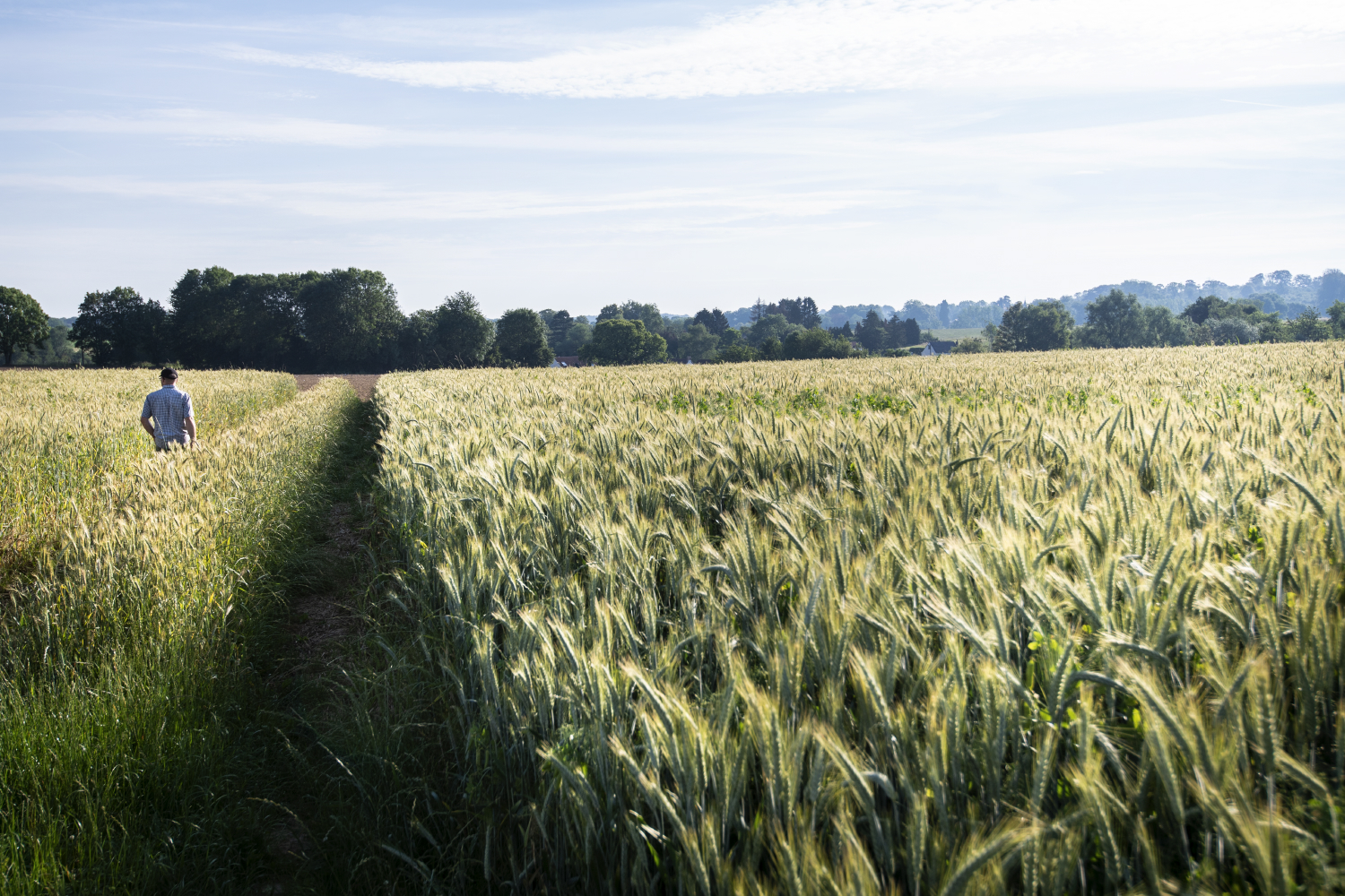Agricultures Nouvelles