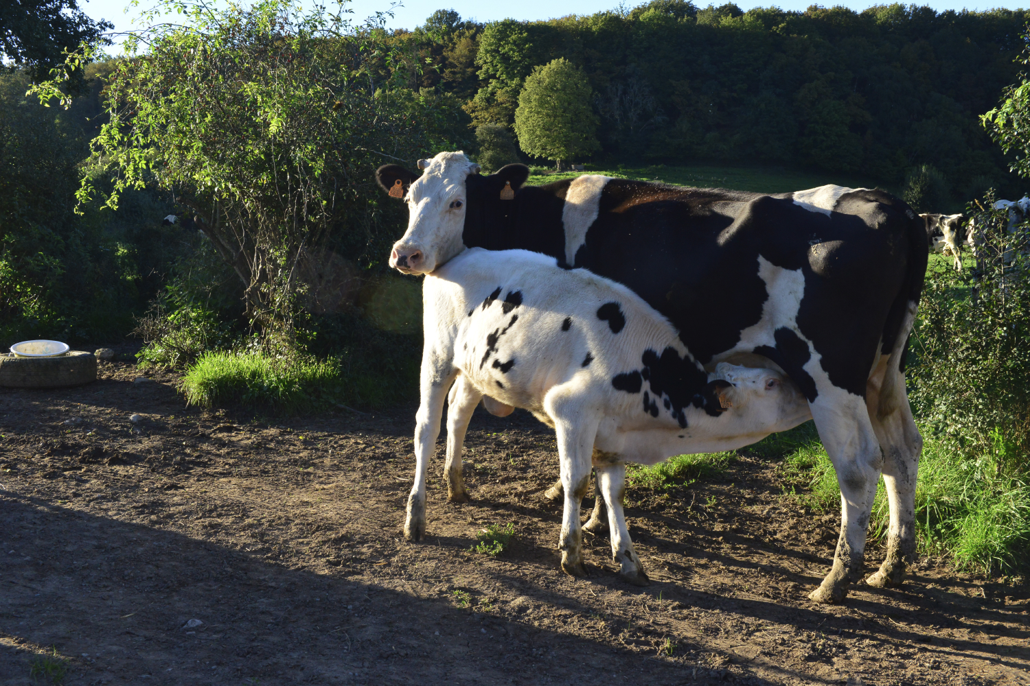 Appel à projets de transition agricole et alimentaire 